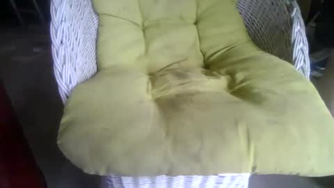 Snapshot of chubyluver11896 chatting on October 2, 5:56 pm chubyluver11896 online show from October 2, 5:56 pm