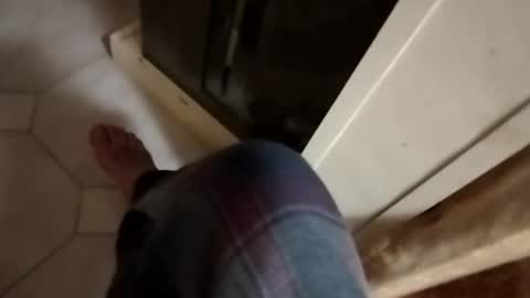 ciccilli online show from October 8, 11:43 pm