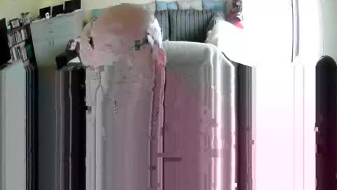 cikakure16081976 online show from April 2, 3:41 pm