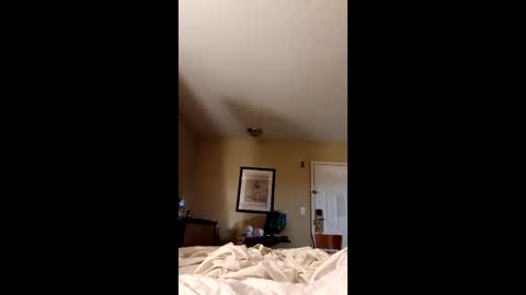 claytonbrannon3717547 online show from December 17, 11:06 am