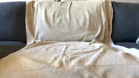 cleancutau online show from February 15, 1:41 am