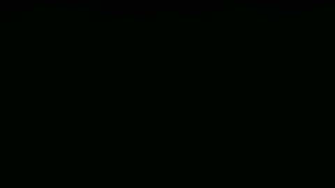 Coco  Chanel online show from November 3, 8:10 pm