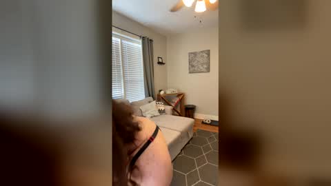 Code By Nova online show from December 18, 7:42 pm