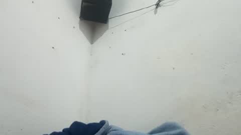 comomisuertemas online show from November 1, 4:55 am