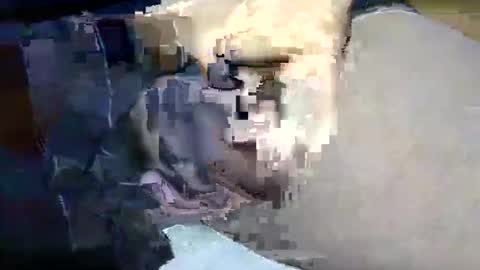 coneyguy online show from November 28, 3:08 pm