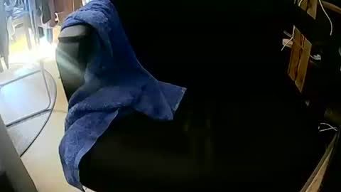 Snapshot of coyote017 chatting on October 4, 12:03 pm coyote017 online show from October 4, 12:03 pm