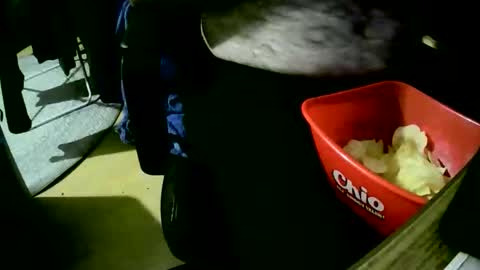 Snapshot of coyote017 chatting on October 22, 6:20 pm coyote017 online show from October 22, 6:20 pm