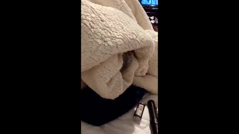 crazywildhorneycouple010 online show from June 3, 6:38 am