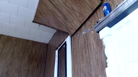 CreamyExotica online show from January 16, 5:33 pm