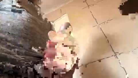 creature272 online show from April 11, 9:13 am