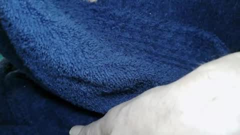 Cristo987 online show from March 3, 4:08 am