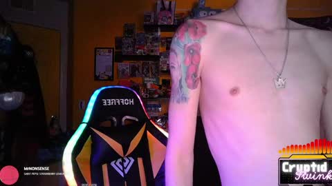 CryptidTwink online show from April 20, 6:05 am