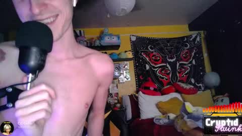 CryptidTwink online show from February 5, 7:45 am