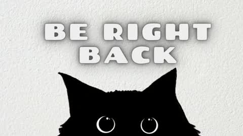 Crystal online show from February 1, 7:44 pm