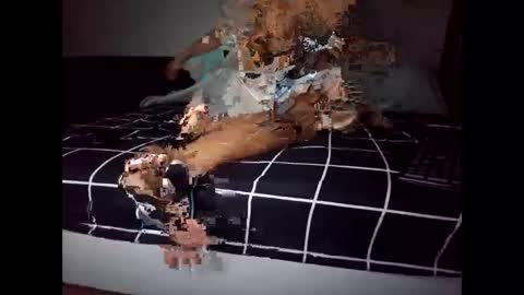 crzcrz online show from March 22, 8:13 pm