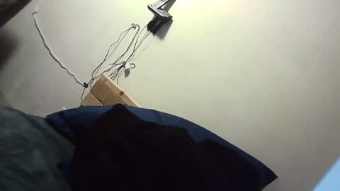 Zelly online show from December 11, 7:31 am