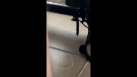 cum4ev online show from April 1, 12:00 am