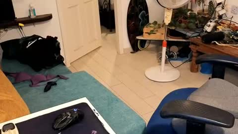 curiousgenie online show from March 14, 10:03 pm