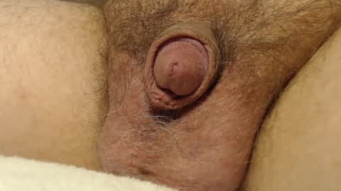 curve66 online show from October 16, 12:54 am