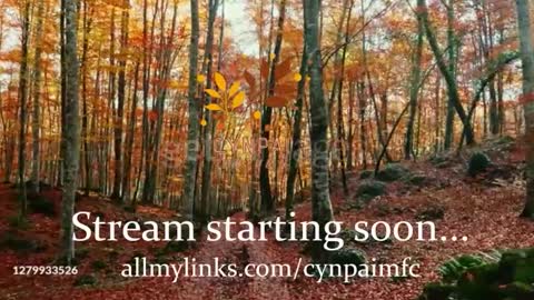 Cynpai online show from November 18, 5:10 am