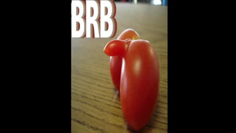 Dave online show from April 12, 10:03 pm