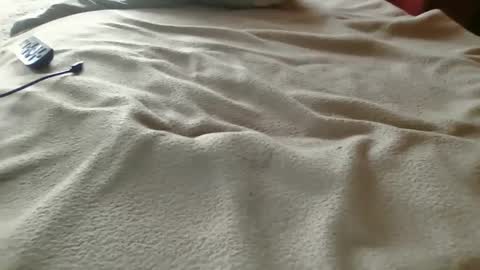 d_stroyer_p online show from December 19, 10:16 pm