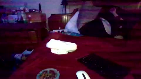 dabangaz4life online show from December 22, 9:33 am