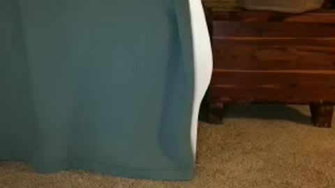 daisy June online show from October 3, 3:15 am