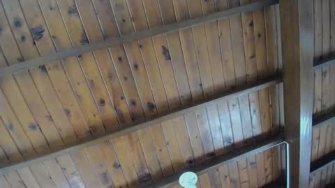 dafne_hillss online show from September 27, 1:53 pm