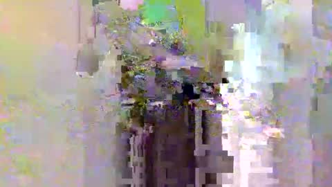 dafo1980 online show from March 27, 10:16 am