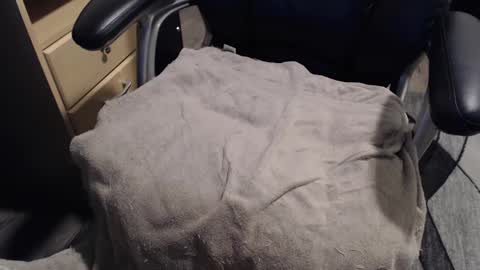 Snapshot of dailyboy1 chatting on February 13, 7:52 pm daily online show from February 13, 7:52 pm