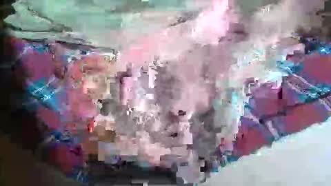 dancewhenyoucan9 online show from November 25, 12:20 am