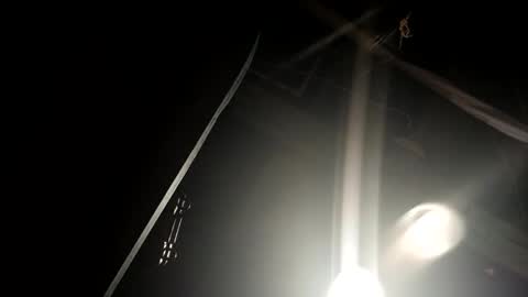 dangpigbenis online show from January 10, 8:25 pm