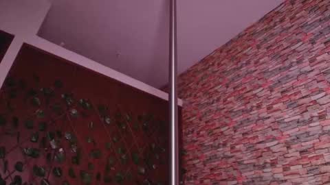 Dania online show from November 16, 3:25 pm