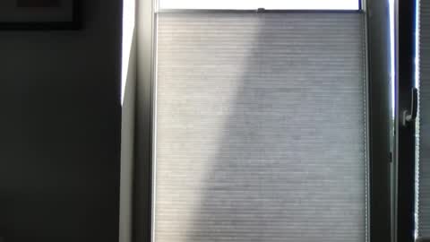 dannii89 online show from July 1, 2:48 pm