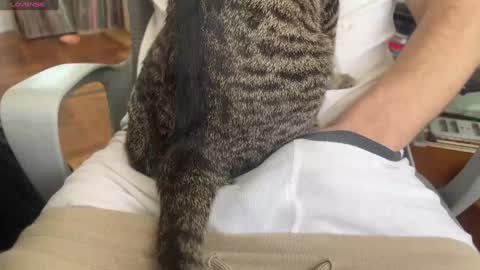 Dante online show from January 24, 5:53 pm