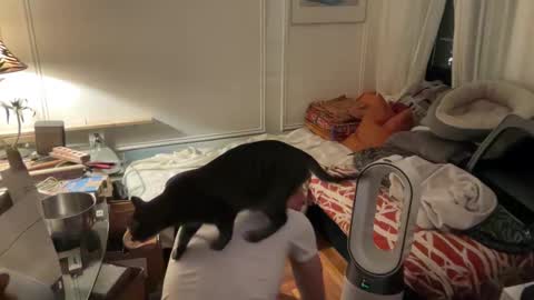 Dante online show from October 17, 11:31 pm