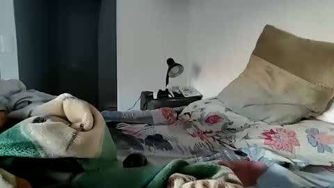 Dark alone1 online show from February 10, 11:46 am