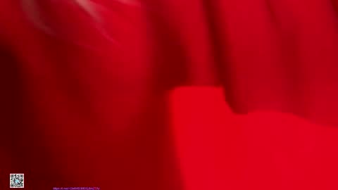 D online show from November 4, 12:56 am