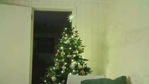 Dario online show from January 4, 12:27 am