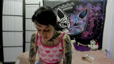 daryimiau online show from April 11, 11:09 pm