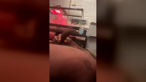 dasquirtmaster online show from March 24, 8:20 am