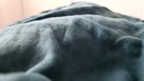 davdao3 online show from February 16, 1:27 pm