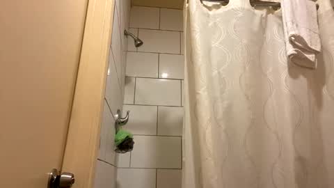 Camila Palacios online show from January 25, 4:02 am