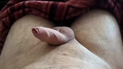 LilRoach online show from October 10, 1:28 pm