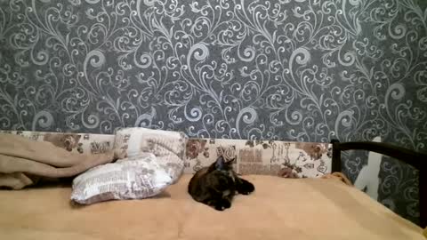 DennisXCarol online show from February 23, 4:24 pm