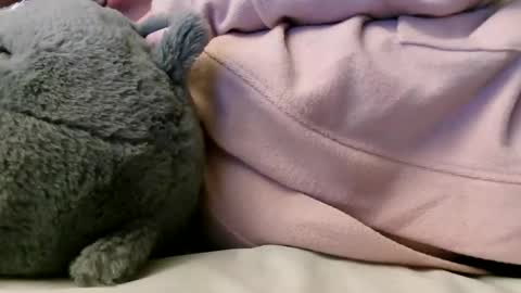 deroseblack online show from February 10, 6:20 am