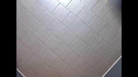 desturbingdetale699 online show from September 16, 7:55 am