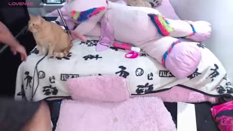 devi_black_13_ online show from July 1, 12:52 am