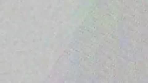 devilslettuce911 online show from April 4, 12:06 am